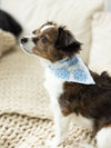 Endless Summer Pet Bandana