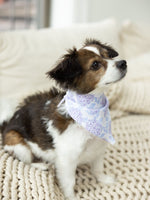 Endless Summer Pet Bandana