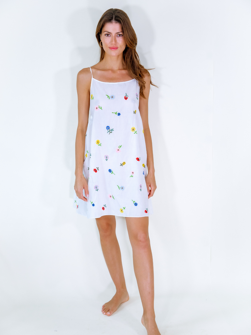 Tuckernuck Dress