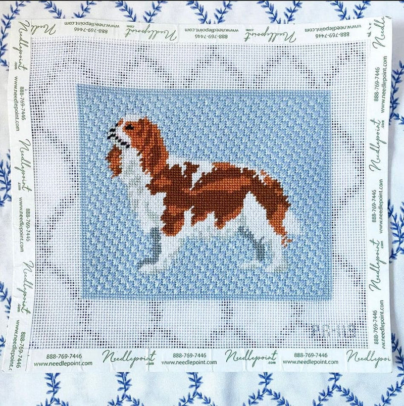 King Charles Spaniel