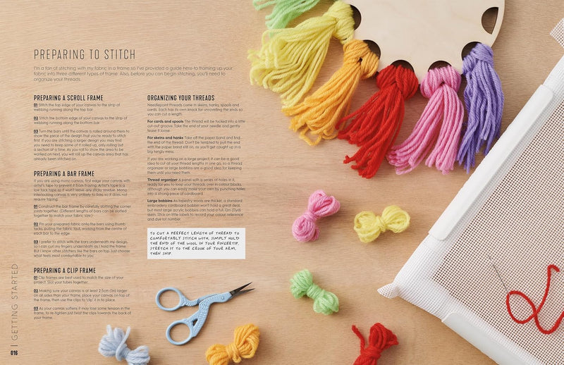 Next-Level Needlepoint Book