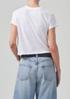 Kyle Tee