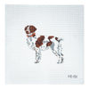 Brittany Spaniel