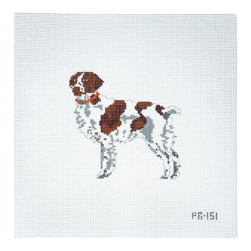 Brittany Spaniel