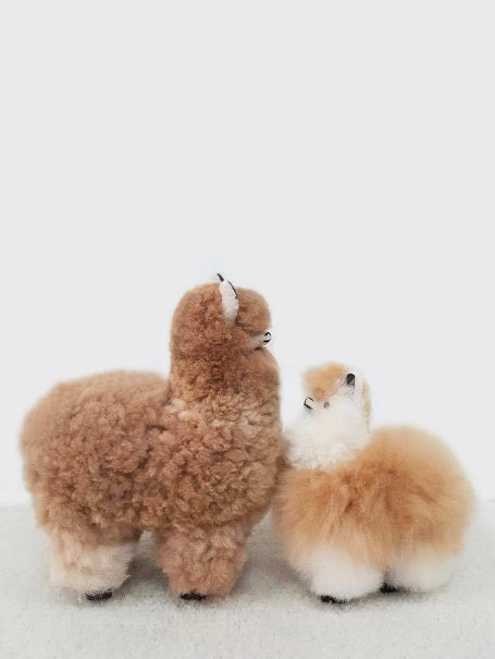 Alpaca Stuffy Small