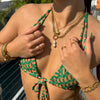 Georgina Shell Pendant Necklace