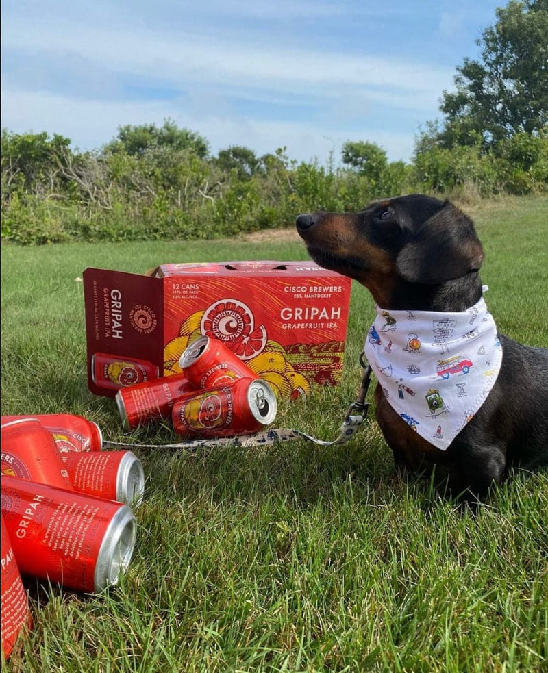 Brewers dog hotsell bandana