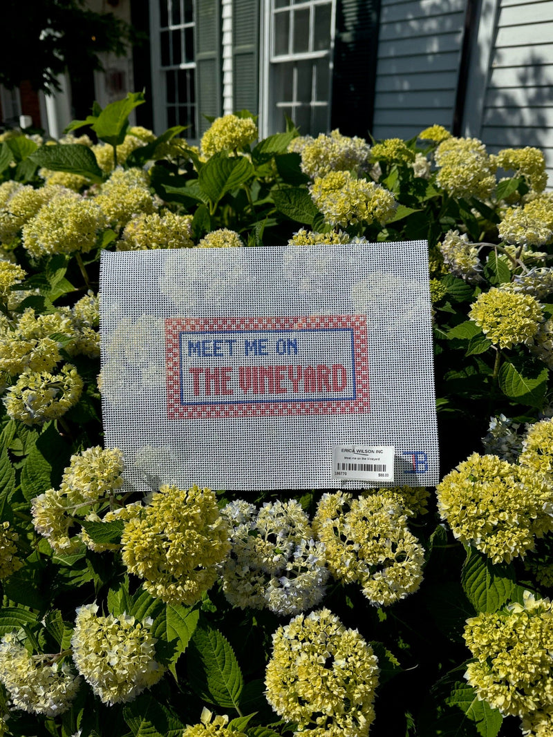 Meet Me On The Vineyard