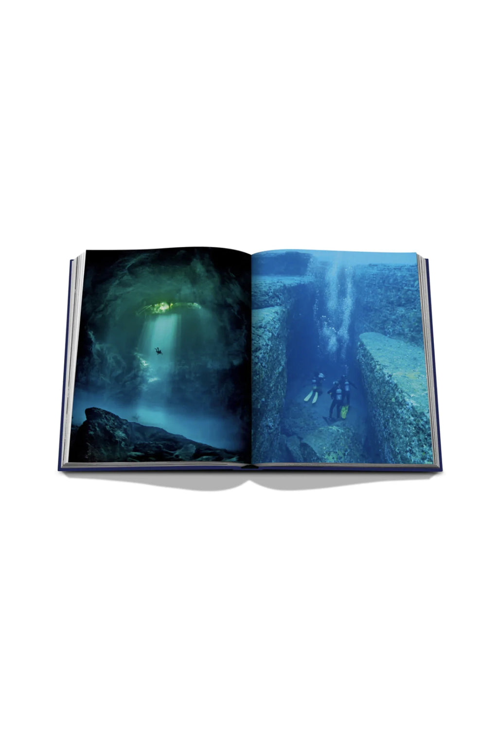 Assouline Coffee Table Book
