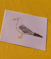 Seagull Canvas