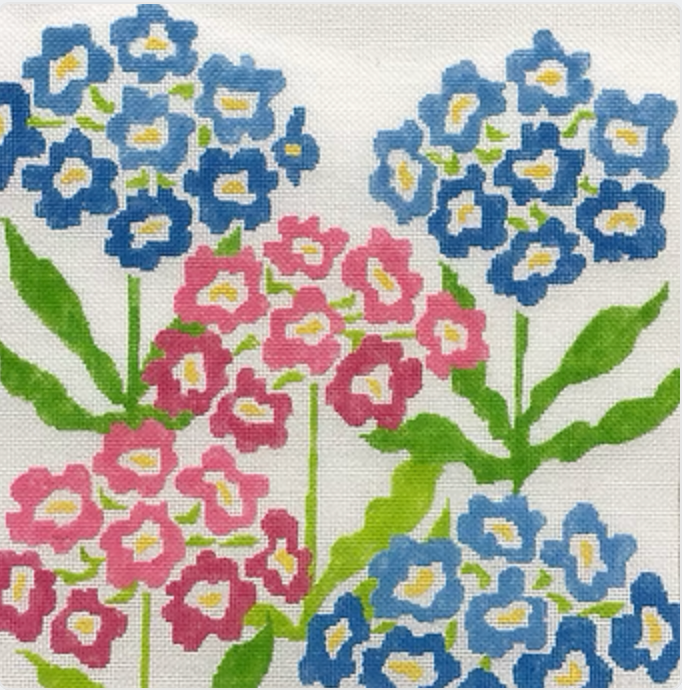 Spring Primrose