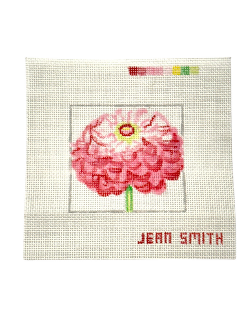 Zinnia