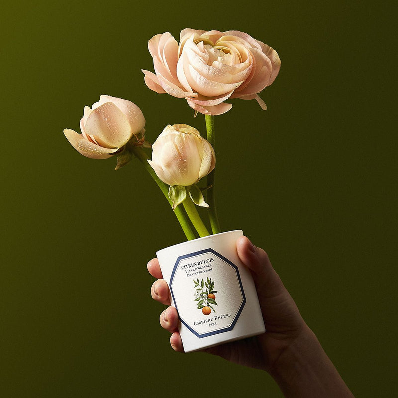 Scented Candle