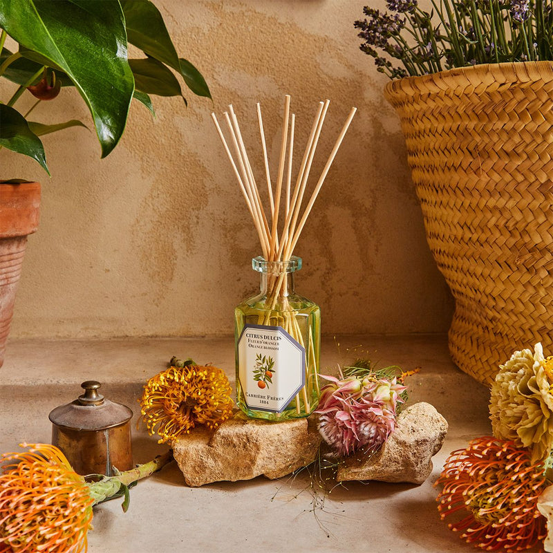 Reed Diffuser
