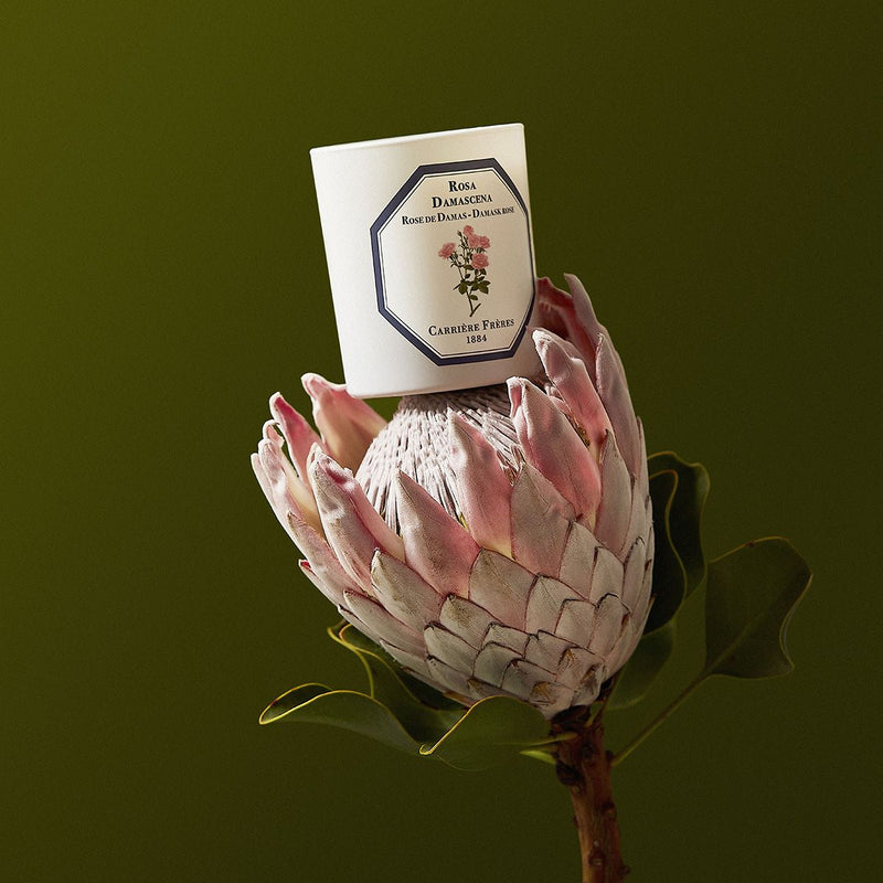 Scented Candle