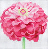 Zinnia