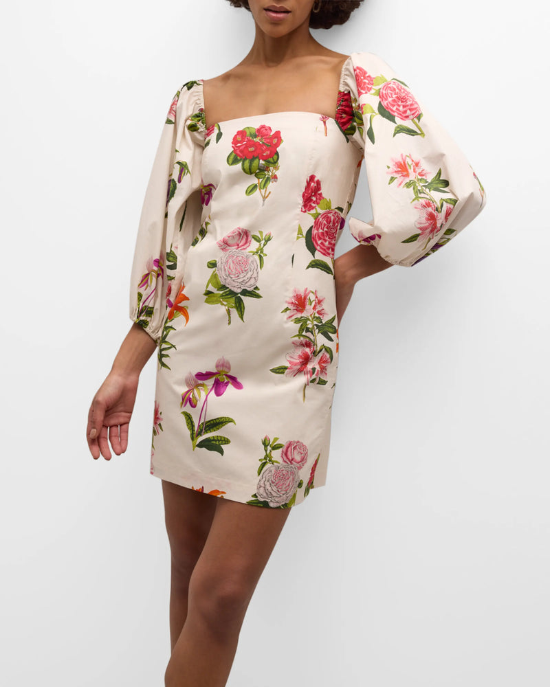 Montauk Dress Egret Camellia Flora