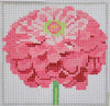 Zinnia