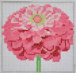 Zinnia