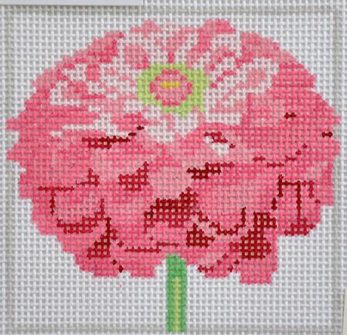 Zinnia