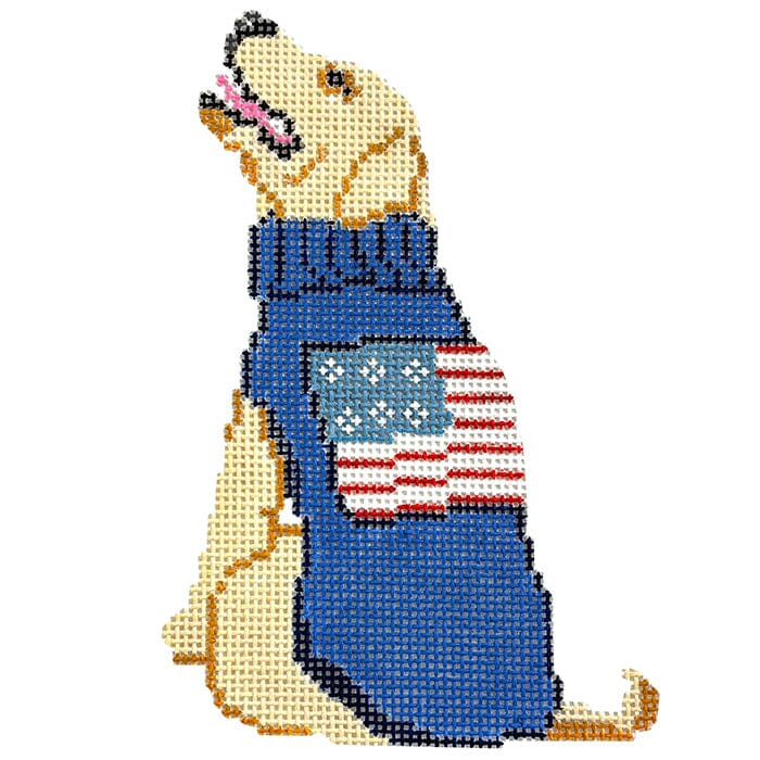 Lab with USA Sweater