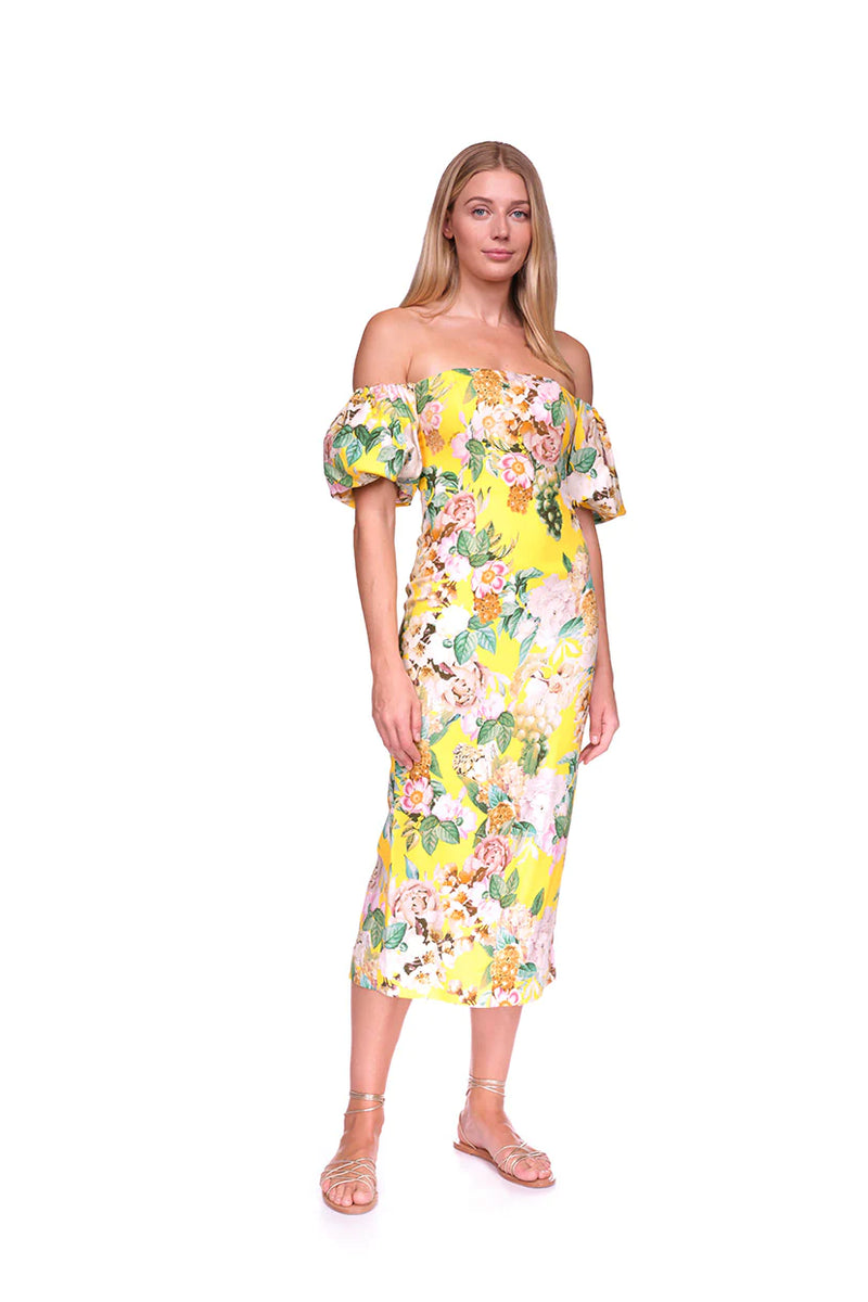 Karene Dress