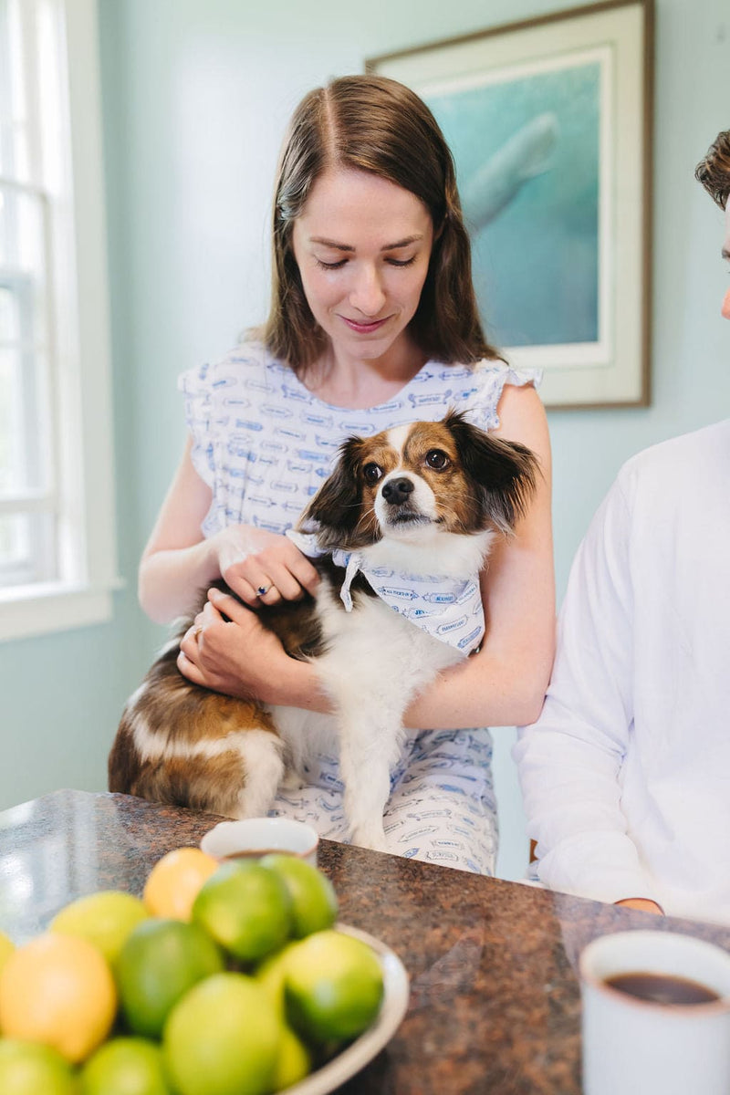 Dog Bandana - "Tuck'd In" Blue