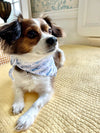 Dog Bandana - "Tuck'd In" Blue