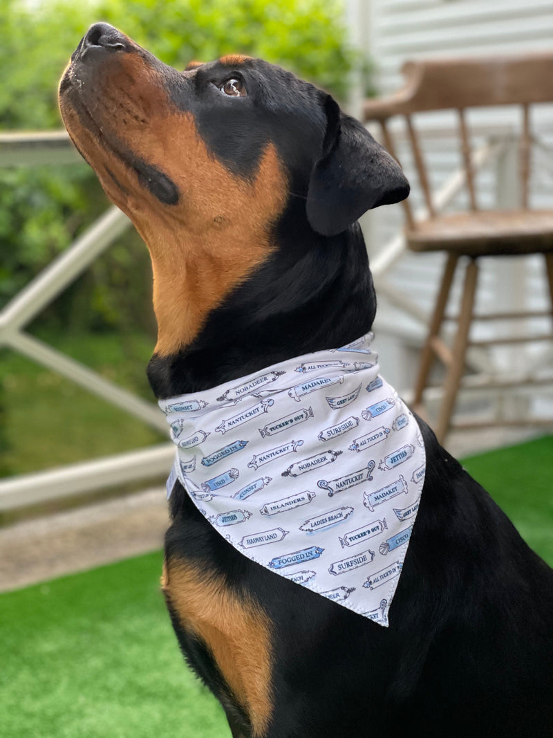 Dog Bandana - "Tuck'd In" Blue