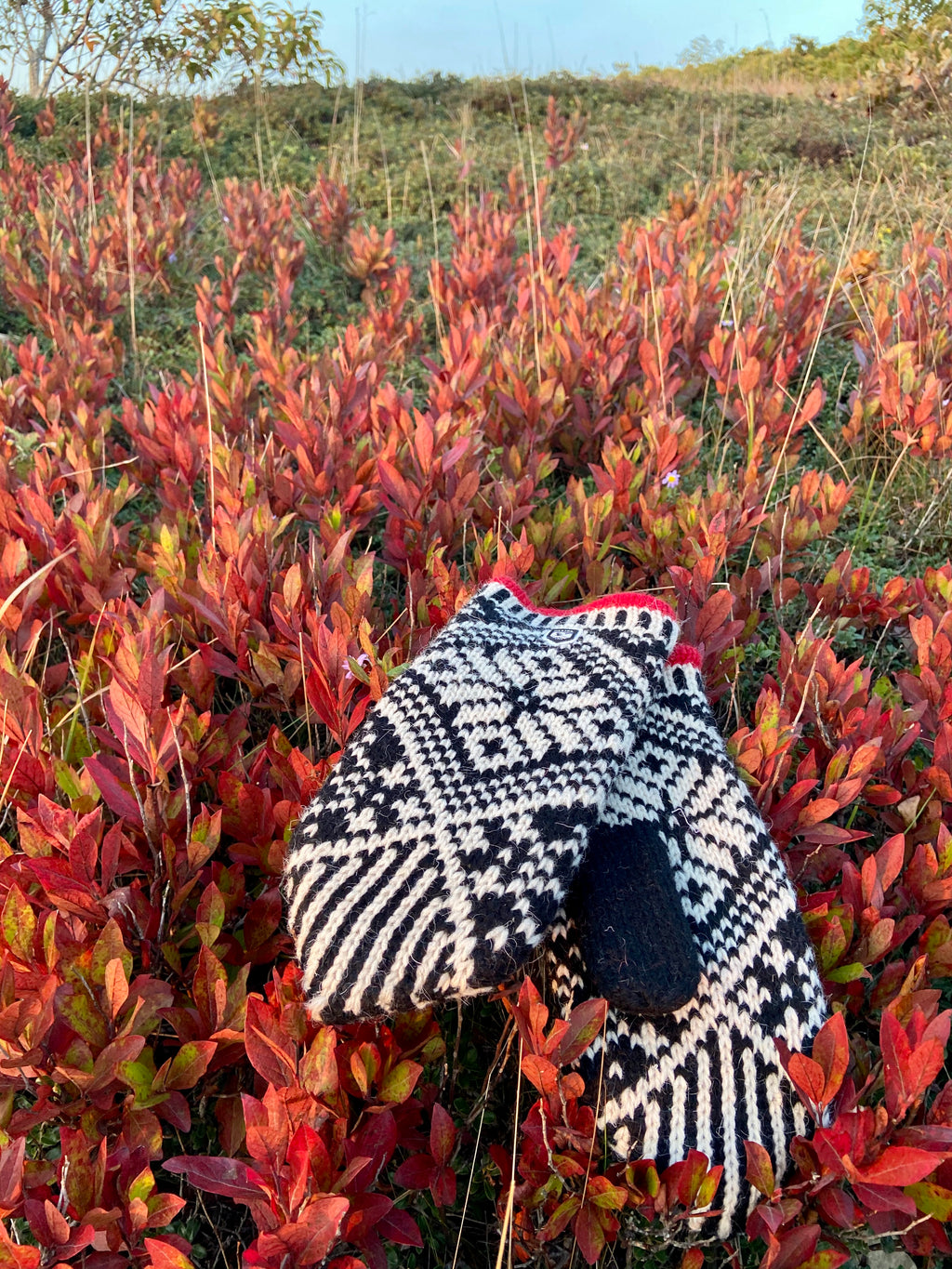 Nordic Wool Mitten