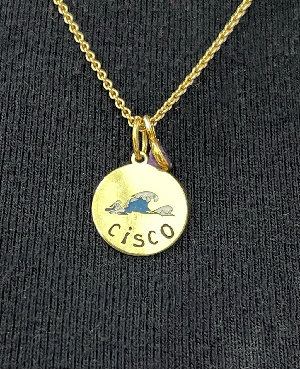 Cisco Wave Voyage Medal Necklace