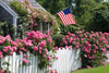 Rose Covered Cottage