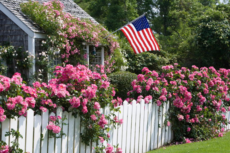 Rose Covered Cottage