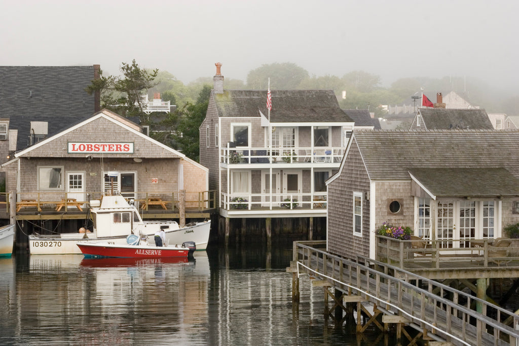 Harbor Scene