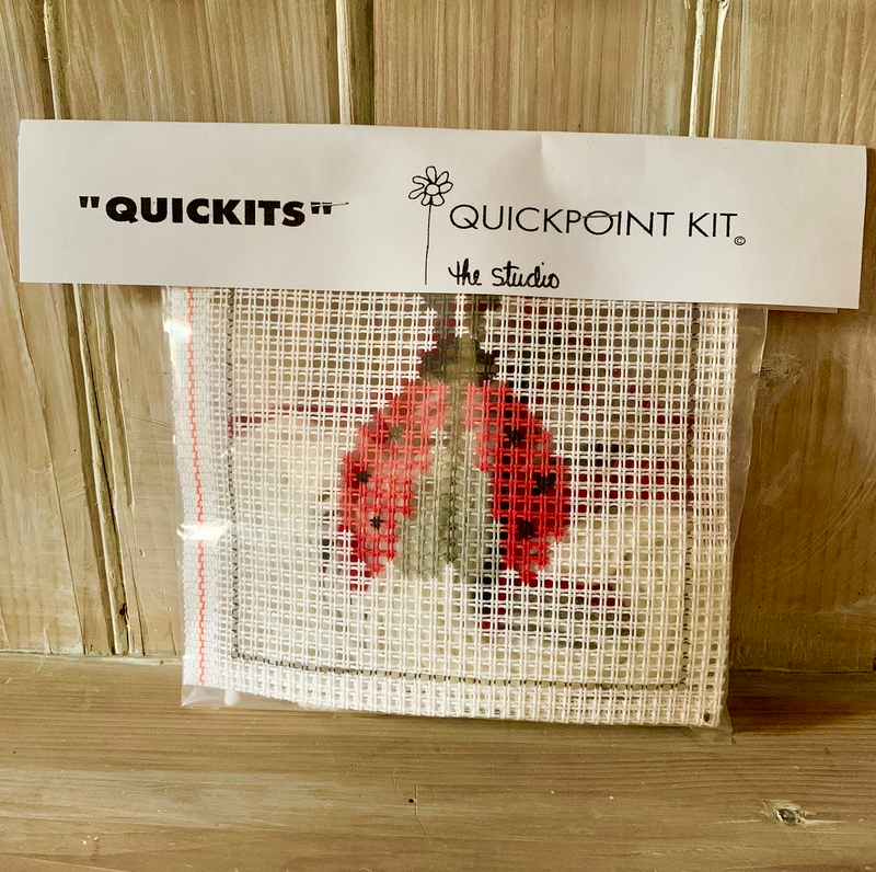 Lady Bug Quick Kit