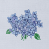 Hydrangea Bloom