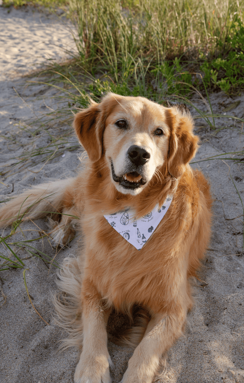 Dog Bandana - Clambake